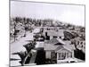 Forest of Derricks in the Signal Hill Oil Fields Near Long Beach, California, 1933-null-Mounted Photo