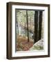 Forest of Eastern Hemlock Trees in East Haddam, Connecticut, USA-Jerry & Marcy Monkman-Framed Premium Photographic Print