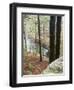 Forest of Eastern Hemlock Trees in East Haddam, Connecticut, USA-Jerry & Marcy Monkman-Framed Premium Photographic Print