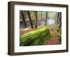 Forest of Eastern Hemlock Trees in East Haddam, Connecticut, USA-Jerry & Marcy Monkman-Framed Photographic Print