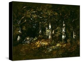 Forest of Fontainebleau, 1868 (Oil on Canvas)-Narcisse Virgile Diaz de la Pena-Stretched Canvas