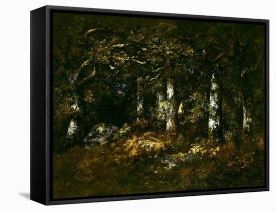 Forest of Fontainebleau, 1868 (Oil on Canvas)-Narcisse Virgile Diaz de la Pena-Framed Stretched Canvas