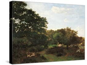 Forest of Fontainebleau-Frederic Bazille-Stretched Canvas