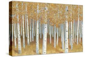 Forest of Gold-James Wiens-Stretched Canvas