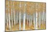 Forest of Gold-James Wiens-Mounted Premium Giclee Print