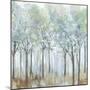 Forest of Light-Allison Pearce-Mounted Art Print