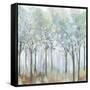 Forest of Light-Allison Pearce-Framed Stretched Canvas
