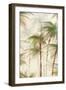 Forest of Palms I-Luna Mavis-Framed Art Print