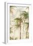 Forest of Palms I-Luna Mavis-Framed Art Print