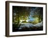 Forest of Paradise-Fernando Alvarez Charro-Framed Photographic Print