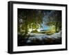 Forest of Paradise-Fernando Alvarez Charro-Framed Photographic Print