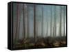 Forest of Pine-Malcolm McBeath-Framed Stretched Canvas