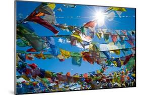 Forest' of Prayer Flags Backlit Against the Sun at the Top of Khardung La Pass (5,606M) North of…-null-Mounted Photographic Print