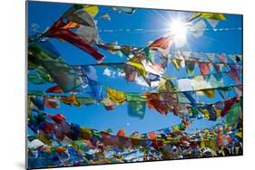 Forest' of Prayer Flags Backlit Against the Sun at the Top of Khardung La Pass (5,606M) North of…-null-Mounted Photographic Print