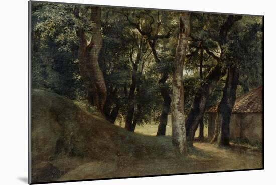 Forest of the Villa Borghese, Late 18Th/Early 19th Century-Pierre Henri de Valenciennes-Mounted Giclee Print