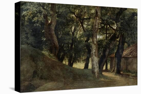 Forest of the Villa Borghese, Late 18Th/Early 19th Century-Pierre Henri de Valenciennes-Stretched Canvas