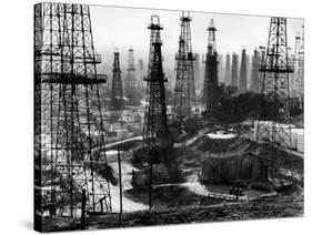 Forest of Wells, Rigs and Derricks Crowd the Signal Hill Oil Fields-Andreas Feininger-Stretched Canvas