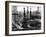 Forest of Wells, Rigs and Derricks Crowd the Signal Hill Oil Fields-Andreas Feininger-Framed Photographic Print