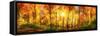 Forest Panorama in Autumn-Smileus-Framed Stretched Canvas