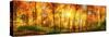 Forest Panorama in Autumn-Smileus-Stretched Canvas