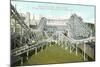 Forest Park Roller Coaster-null-Mounted Art Print