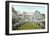 Forest Park Roller Coaster-null-Framed Art Print