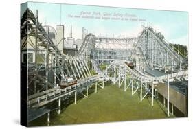 Forest Park Roller Coaster-null-Stretched Canvas