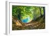 Forest Path in Autumn-Piotr Pawinski-Framed Photographic Print