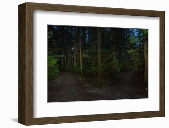 Forest path, Sitka National Historic Park aka Totem Park, Sitka, Alaska-Mark A Johnson-Framed Photographic Print