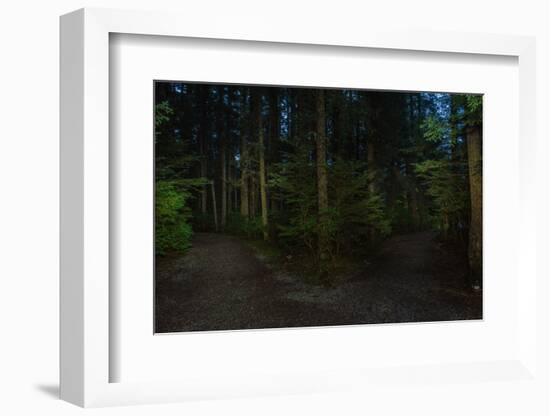 Forest path, Sitka National Historic Park aka Totem Park, Sitka, Alaska-Mark A Johnson-Framed Photographic Print