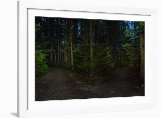 Forest path, Sitka National Historic Park aka Totem Park, Sitka, Alaska-Mark A Johnson-Framed Photographic Print