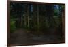 Forest path, Sitka National Historic Park aka Totem Park, Sitka, Alaska-Mark A Johnson-Framed Photographic Print