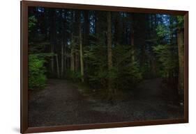 Forest path, Sitka National Historic Park aka Totem Park, Sitka, Alaska-Mark A Johnson-Framed Photographic Print