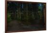 Forest path, Sitka National Historic Park aka Totem Park, Sitka, Alaska-Mark A Johnson-Framed Photographic Print