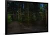 Forest path, Sitka National Historic Park aka Totem Park, Sitka, Alaska-Mark A Johnson-Framed Photographic Print