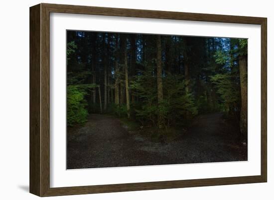 Forest path, Sitka National Historic Park aka Totem Park, Sitka, Alaska-Mark A Johnson-Framed Photographic Print