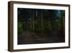 Forest path, Sitka National Historic Park aka Totem Park, Sitka, Alaska-Mark A Johnson-Framed Photographic Print