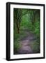 Forest path, Whitewater Memorial State Park, Indiana, USA.-Anna Miller-Framed Photographic Print