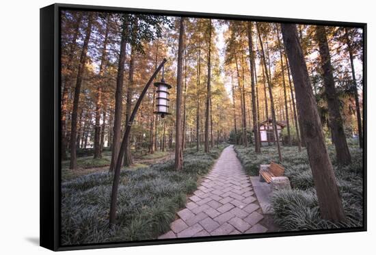 Forest Path with Bench and Lanterns in a West Lake Park, Hangzhou, Zhejiang, China, Asia-Andreas Brandl-Framed Stretched Canvas