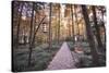 Forest Path with Bench and Lanterns in a West Lake Park, Hangzhou, Zhejiang, China, Asia-Andreas Brandl-Stretched Canvas