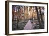 Forest Path with Bench and Lanterns in a West Lake Park, Hangzhou, Zhejiang, China, Asia-Andreas Brandl-Framed Photographic Print
