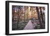 Forest Path with Bench and Lanterns in a West Lake Park, Hangzhou, Zhejiang, China, Asia-Andreas Brandl-Framed Photographic Print