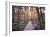 Forest Path with Bench and Lanterns in a West Lake Park, Hangzhou, Zhejiang, China, Asia-Andreas Brandl-Framed Photographic Print