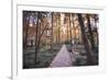 Forest Path with Bench and Lanterns in a West Lake Park, Hangzhou, Zhejiang, China, Asia-Andreas Brandl-Framed Photographic Print