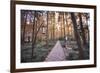 Forest Path with Bench and Lanterns in a West Lake Park, Hangzhou, Zhejiang, China, Asia-Andreas Brandl-Framed Photographic Print