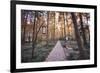 Forest Path with Bench and Lanterns in a West Lake Park, Hangzhou, Zhejiang, China, Asia-Andreas Brandl-Framed Photographic Print