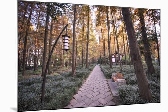 Forest Path with Bench and Lanterns in a West Lake Park, Hangzhou, Zhejiang, China, Asia-Andreas Brandl-Mounted Photographic Print