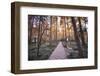 Forest Path with Bench and Lanterns in a West Lake Park, Hangzhou, Zhejiang, China, Asia-Andreas Brandl-Framed Premium Photographic Print