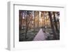 Forest Path with Bench and Lanterns in a West Lake Park, Hangzhou, Zhejiang, China, Asia-Andreas Brandl-Framed Premium Photographic Print