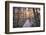 Forest Path with Bench and Lanterns in a West Lake Park, Hangzhou, Zhejiang, China, Asia-Andreas Brandl-Framed Photographic Print